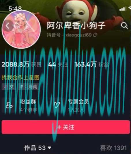 抖音网红阿尔卑香小狗子微密圈图片&视频 全套资源合集[持续更新]插图