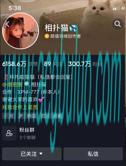 抖音网红相扑猫微密圈图片&视频最新网盘资源合集[持续更新]插图