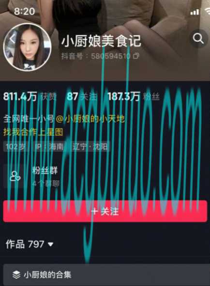 小厨娘美食记微密圈写真&视频合集插图 小厨娘美食记微密圈写真&视频合集插图