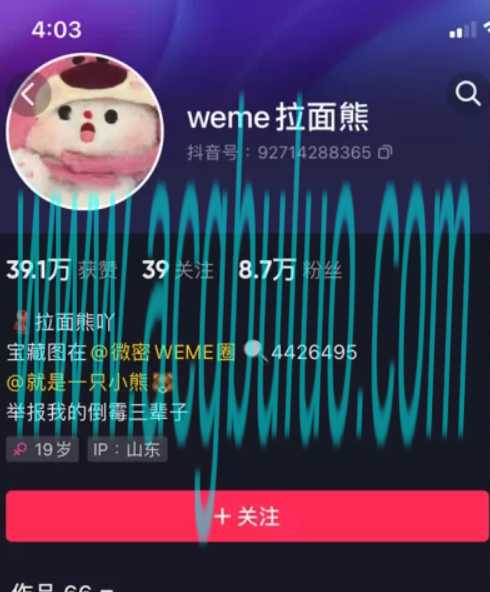 抖音@拉面熊 微密圈合集[持续更新]插图